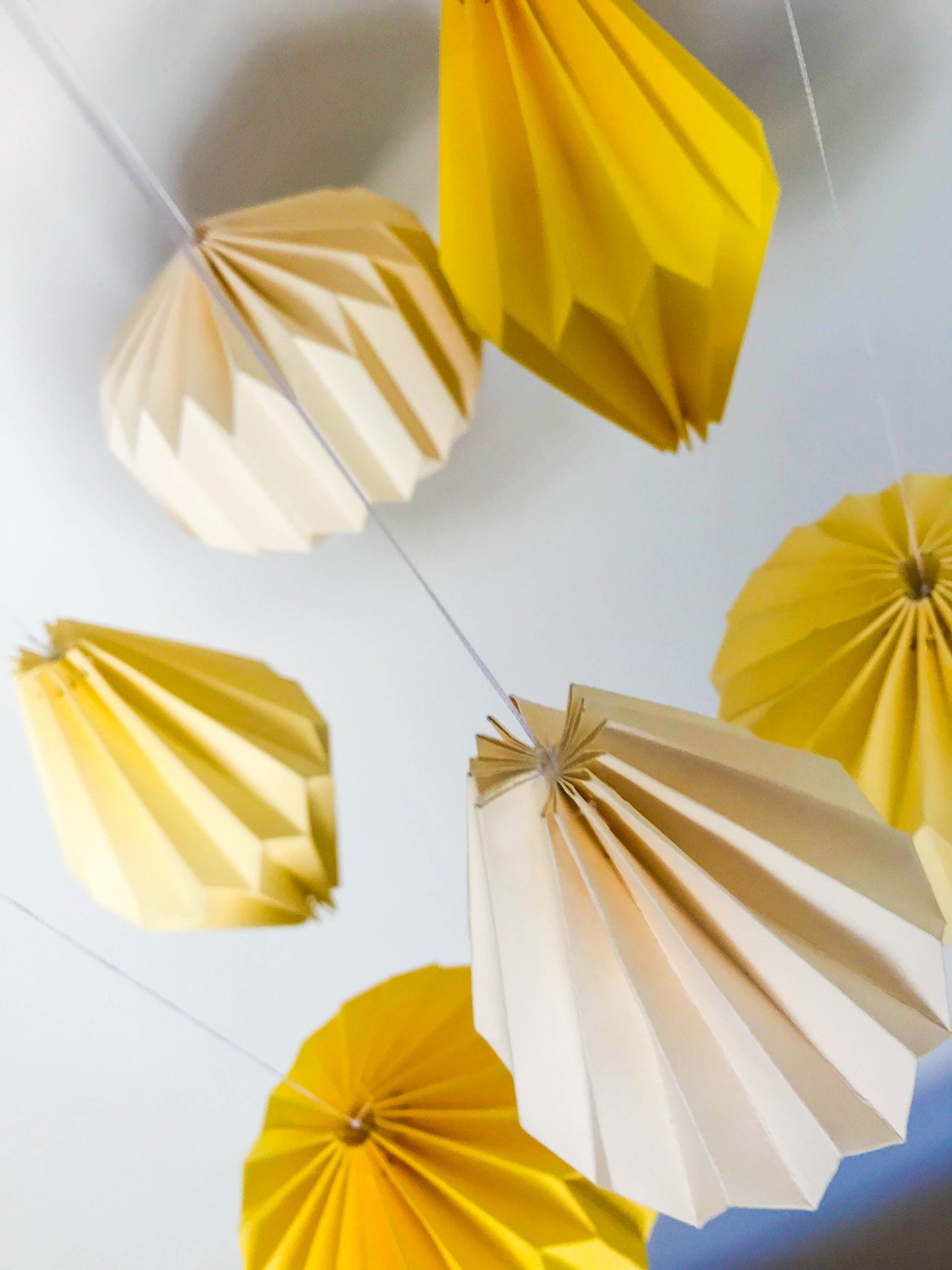 Yellow & Lemon