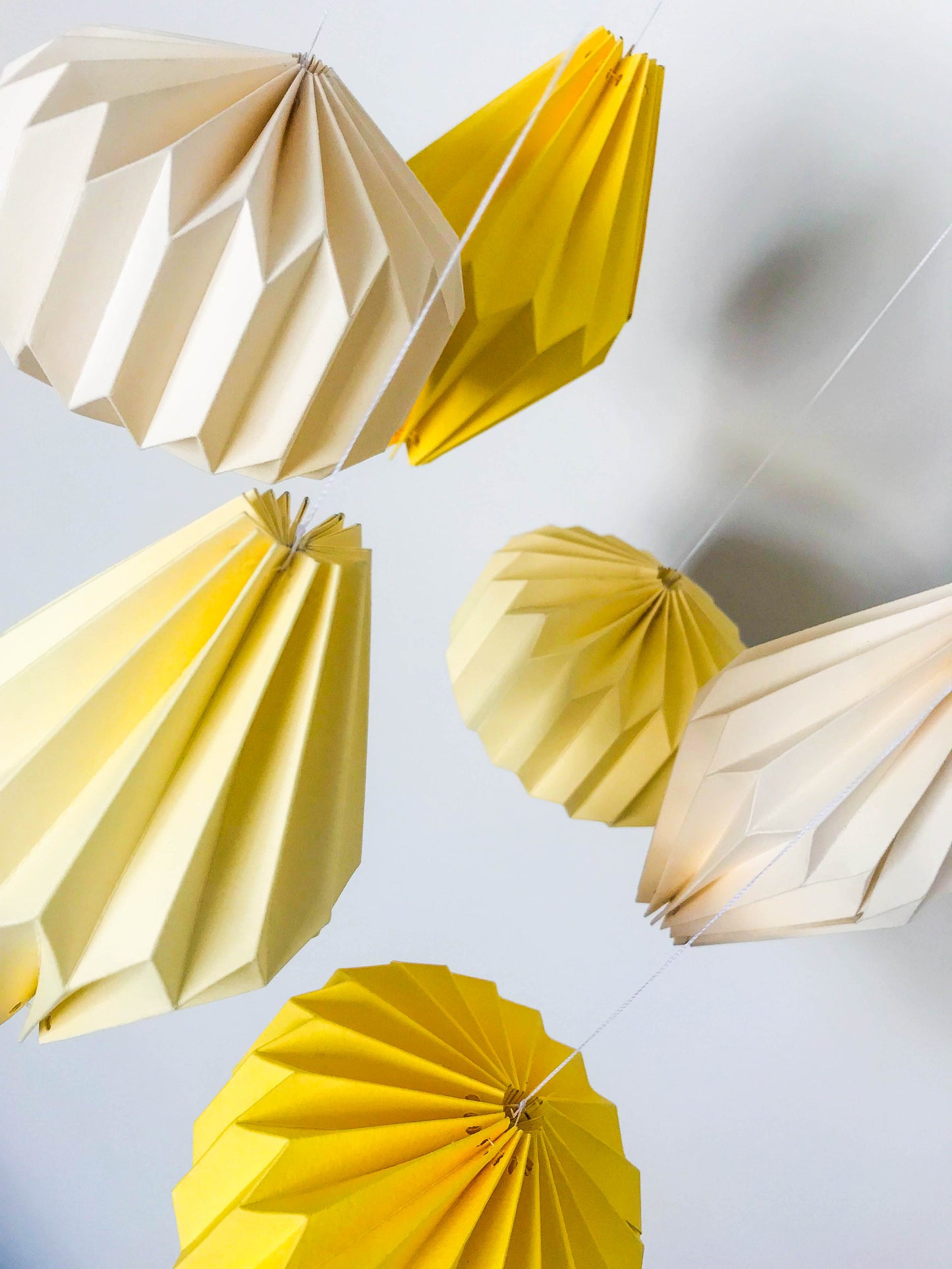 Yellow & Lemon